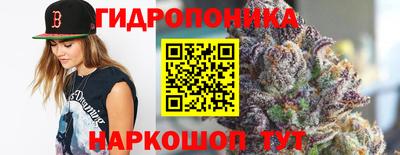 скорость Будённовск